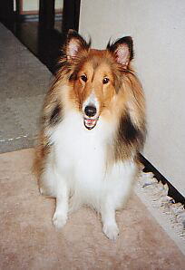 ������Ɓu�����܂��v