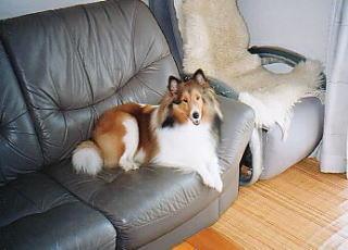 �u�Ȃ��v�H�ׂ����Ȃ���