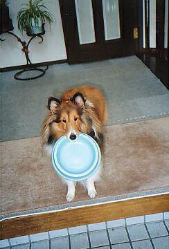 ���ꂪ���́u���Z�v�Ȃ̂���