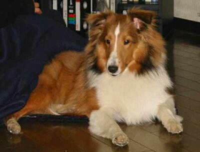 ���߂܂��ā�