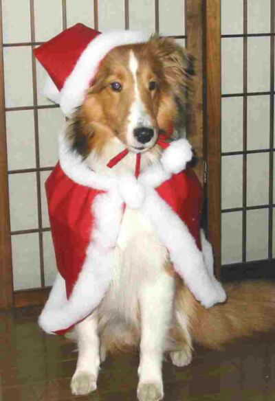 �Ƃ��Ă��������ł����