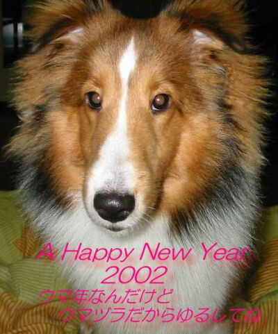 �ǂ����Ƃ��肻����