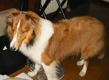 �M���b�I�i����`����(��)�j