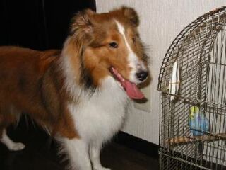 ������������āA�͂��͂�����Ă܂��B