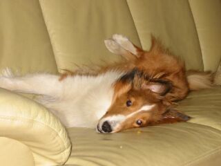 �Q�ڂ��āA�ӎ����[��[�B