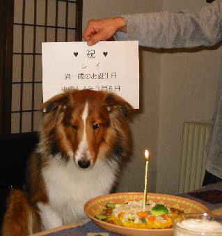 �V���C�ȃ��C������