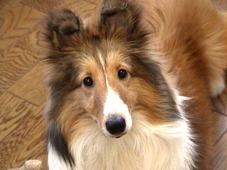 �肭�����ł��B