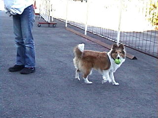 �{�[����D����