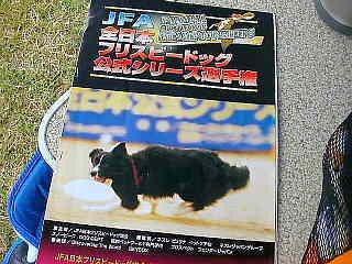 �i�e�`�̃p���t