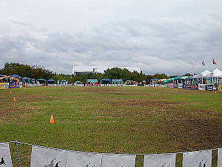 �򉻃Z���^�[���R�L��