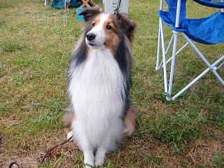 �����ɔ�߂����u��