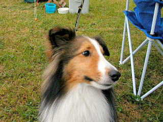 �����b����B�_(^��^)�^