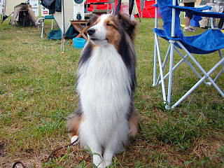 �����܂��I