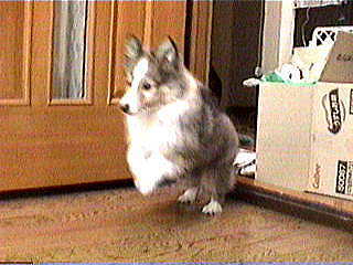 �҂�`��҂�`���