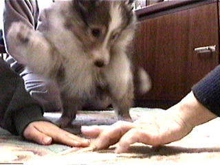 ����ŁB�B�B�G�C�b�I