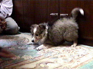 �Ⴍ�\���āE�E�E