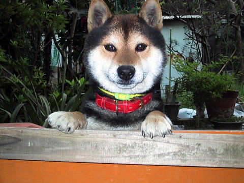 ���̎肪�߂�����I