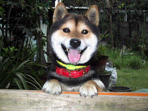 �H�ׂ��Ⴂ�����I�H