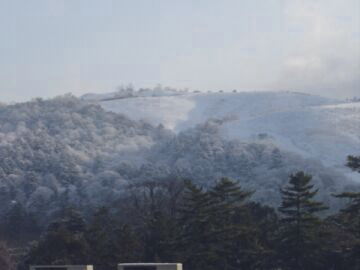 ��������Ɛቻ��