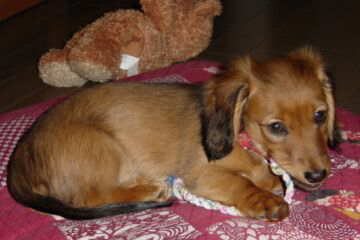 ������҂�A���˂ށB