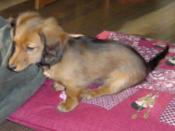 �����ւ�I