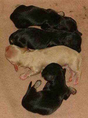 �z���z����