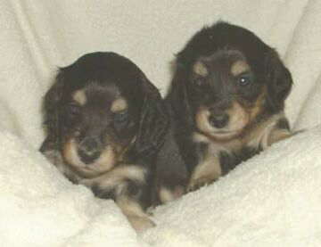 �ɂ�����B