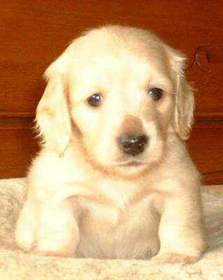 �Ƃ��Ă������ł��傤(*^-^*)