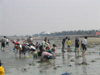 ��a��C�݁@�������