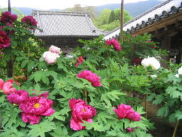 ���J���@���O