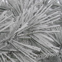 �R���t�߂̏��̎��X