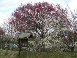 ��a���������@�~��