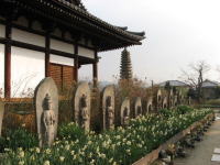 �ʎ᎛�@�{�����̎O�\�O���ω��Α�