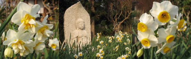 �Ε��Ɛ���