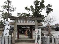 �����V���{