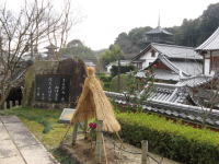 �c�����@���@�@�����O