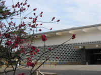 ��a���؊ف@�Ȃ܂��ǂƎ����_�̔~