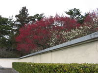 ��̊O�̒��ԏꂩ��݂�~