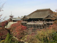 �������@�����̕���