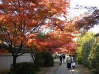 �g�t�̃g���l��