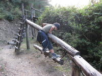 �ӂ肱�킽��