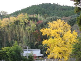 ����ǂƈꌾ��_��