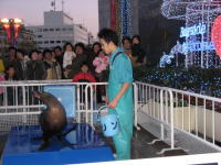 �A�V�J�̃��������̓_����