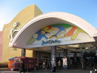 �W���Y�h���[������