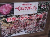 �x�S�j�A�K�[�f��