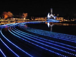 �Ȃ΂Ȃ̗��@�E�B���^�[�C���~�l�[�V�����@�`���y��