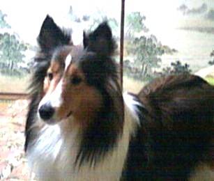 �a���܂邿���i03/20�`06/22�j