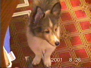 Leon�N( - ""-)