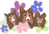 �܂邿���