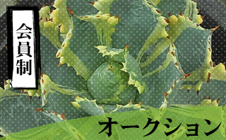 承認会員制オークション